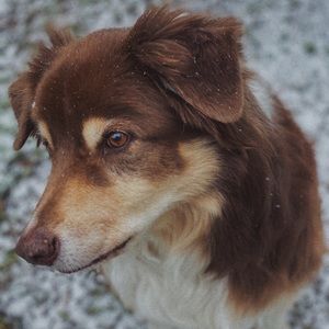 Meet your Posher, Zaine